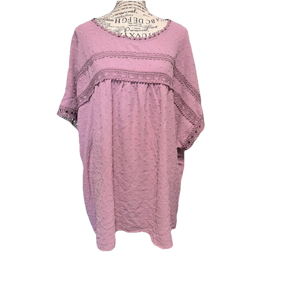 Shein Swiss Dot and Lace Pink Pullover Blouse Top Plus 4X Career Cottagecore